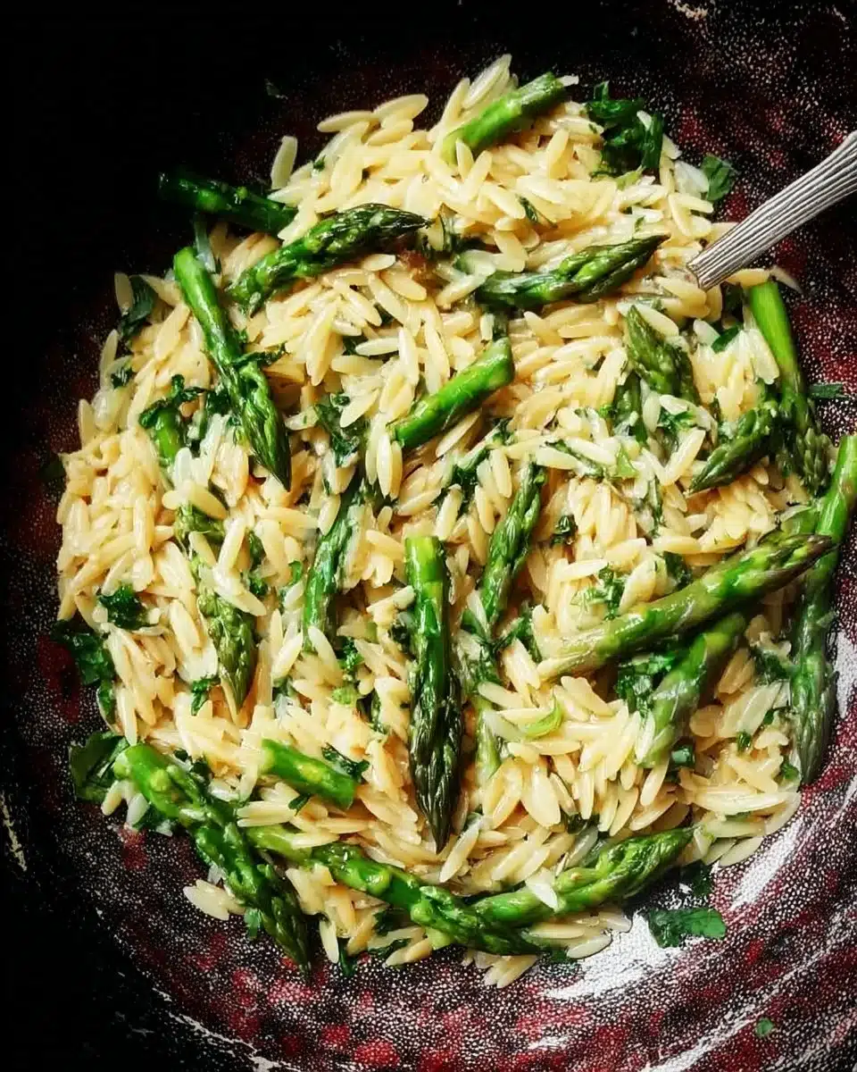 Delicious Orzo Pasta with Asparagus dish garnished with parmesan cheese